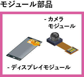 camera module and display module