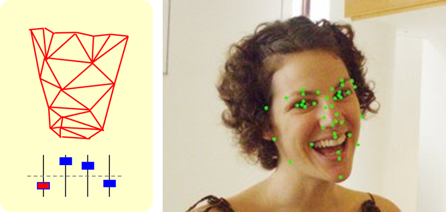 Facial Parts & Contour Detection