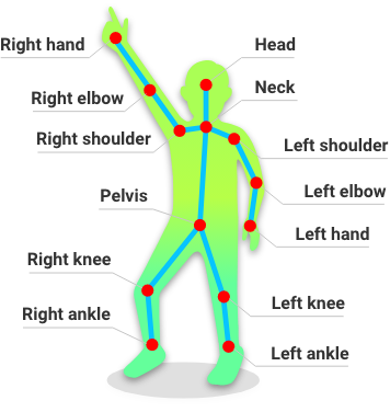 General Specifications:skeleton point